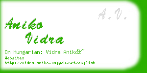 aniko vidra business card